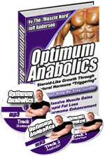 Will Brink Program & Bonuses