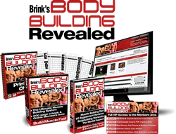 Will Brink Program & Bonuses